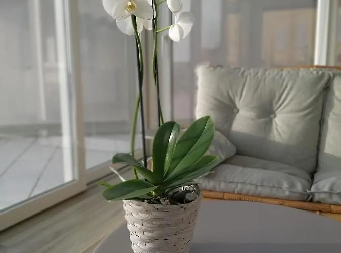 La Magia Delle Langhe Con Vista Appartement *