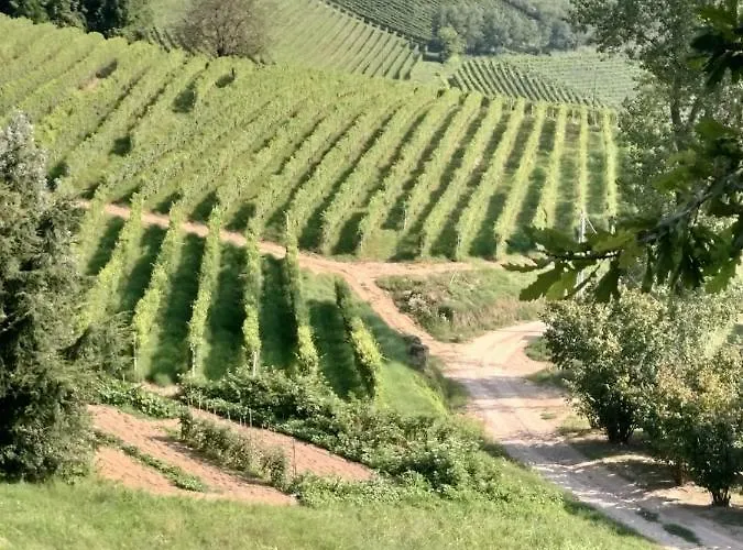 La Magia Delle Langhe Con Vista Appartement Novello